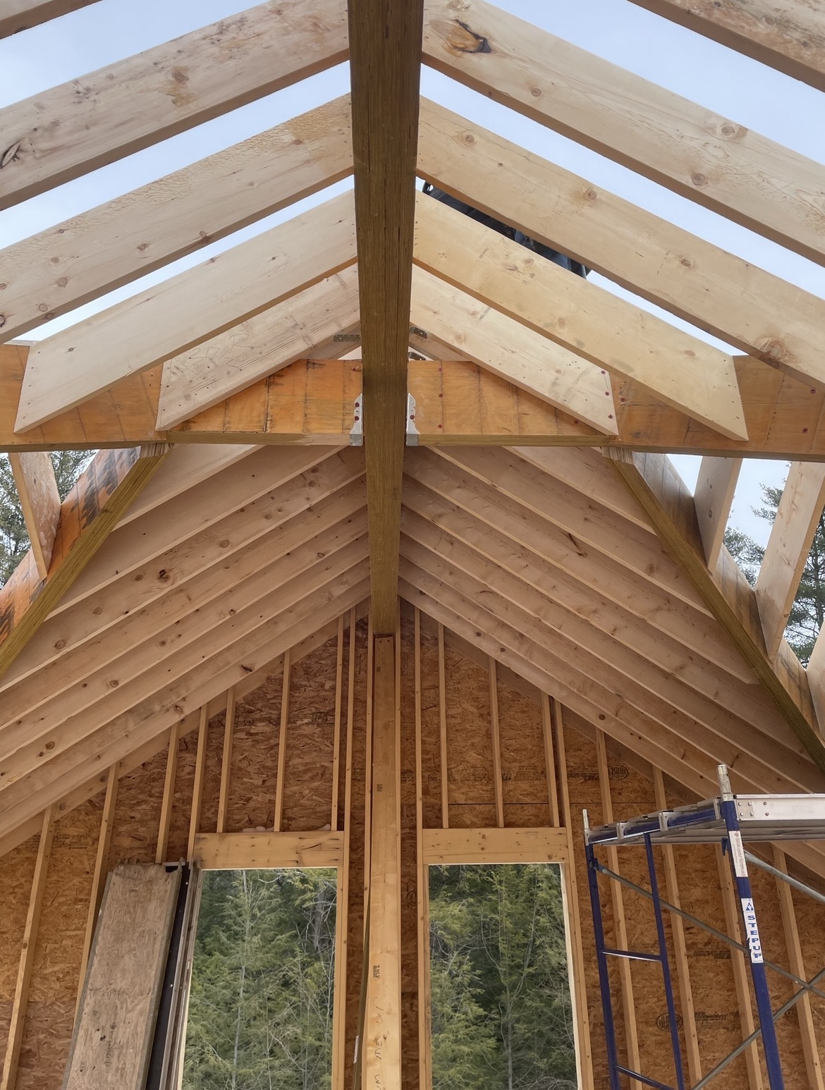 Vaulted roof framing with exposed rafters and ridge beam, by Three Lakes Builders LLC